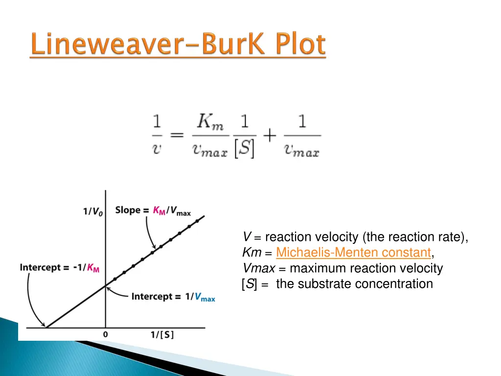 lineweaver burk plot