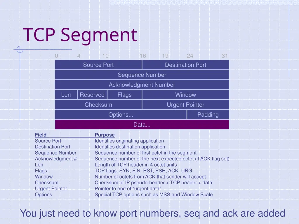 tcp segment