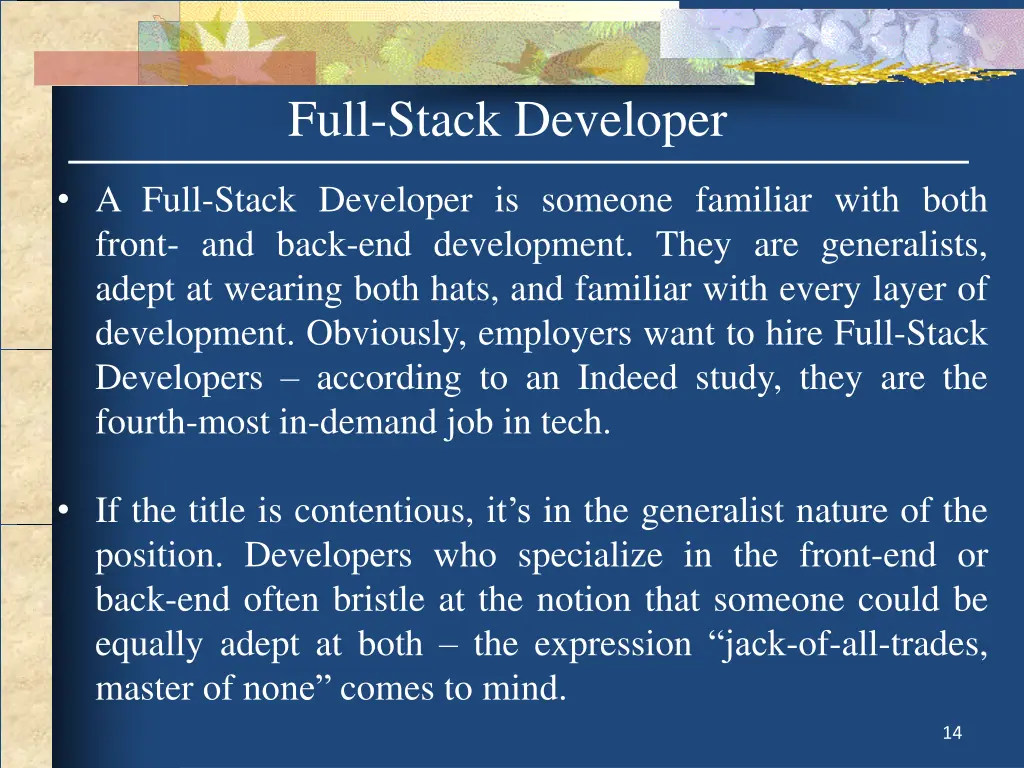 full stack developer