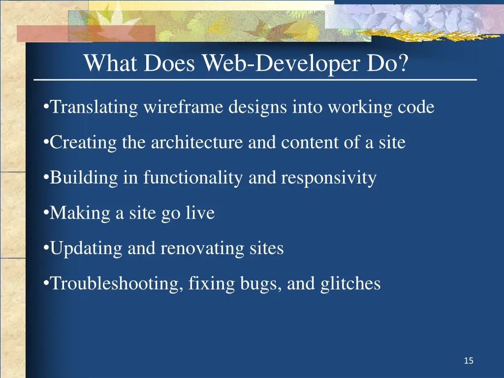 what does web developer do