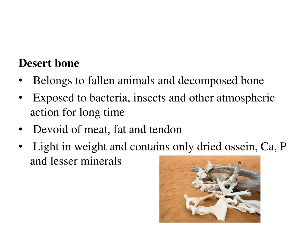 desert bone belongs to fallen animals