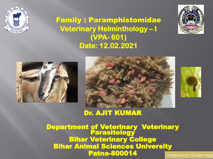 bihar animal sciences university