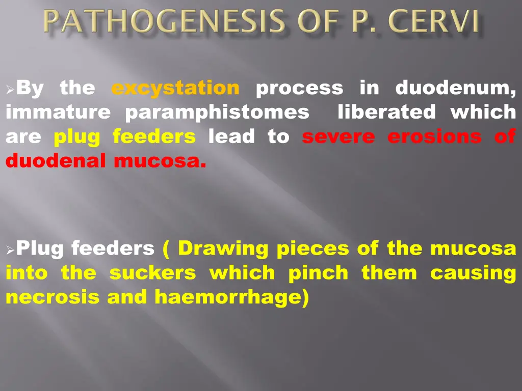 by the excystation process in duodenum immature