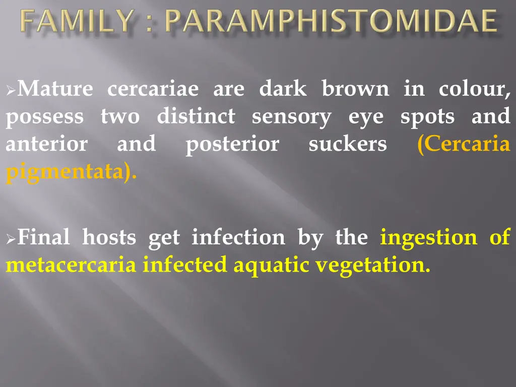 mature cercariae are dark brown in colour possess