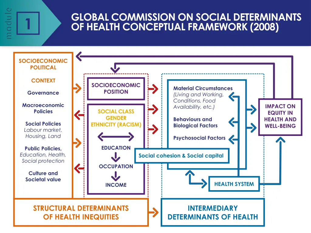 global commission on social determinants