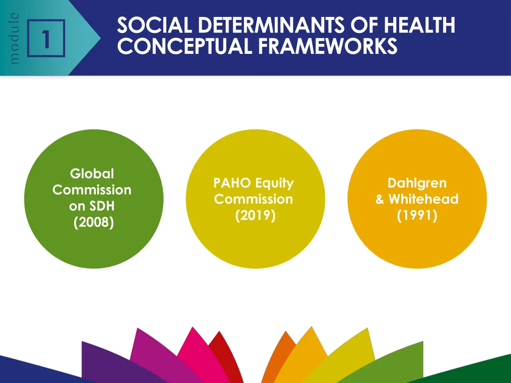 social determinants of health conceptual