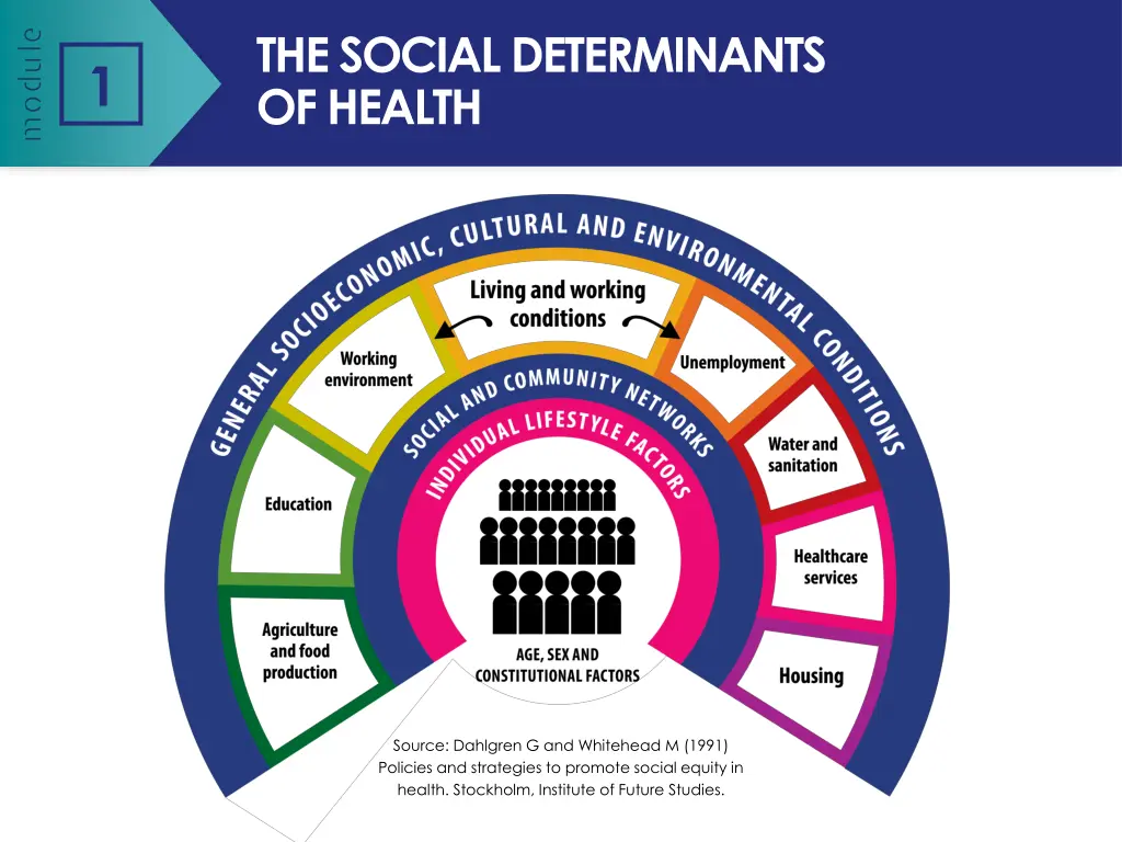 the social determinants of health