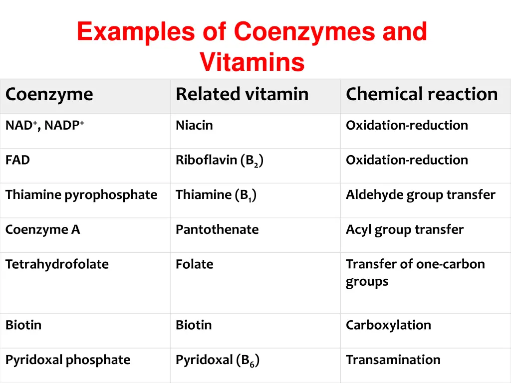 examples of coenzymes and vitamins