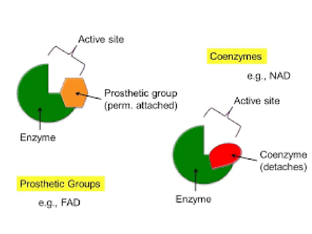 slide15