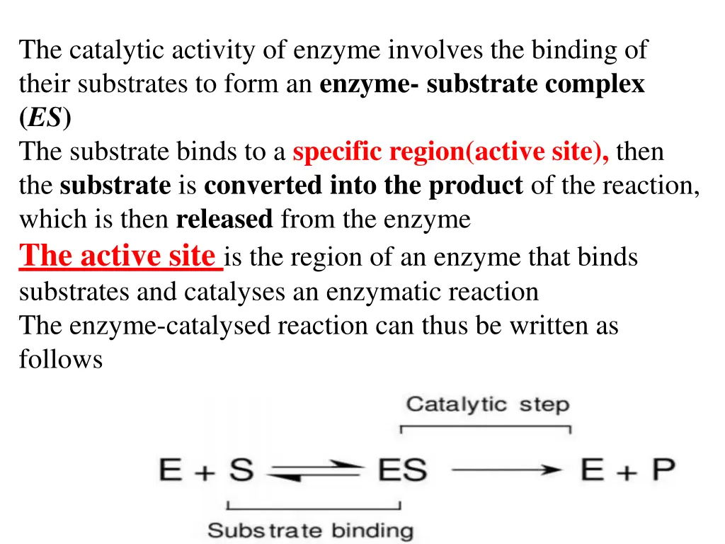 the catalytic activity of enzyme involves