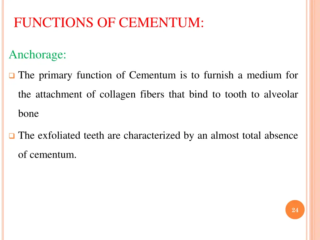 functions of cementum