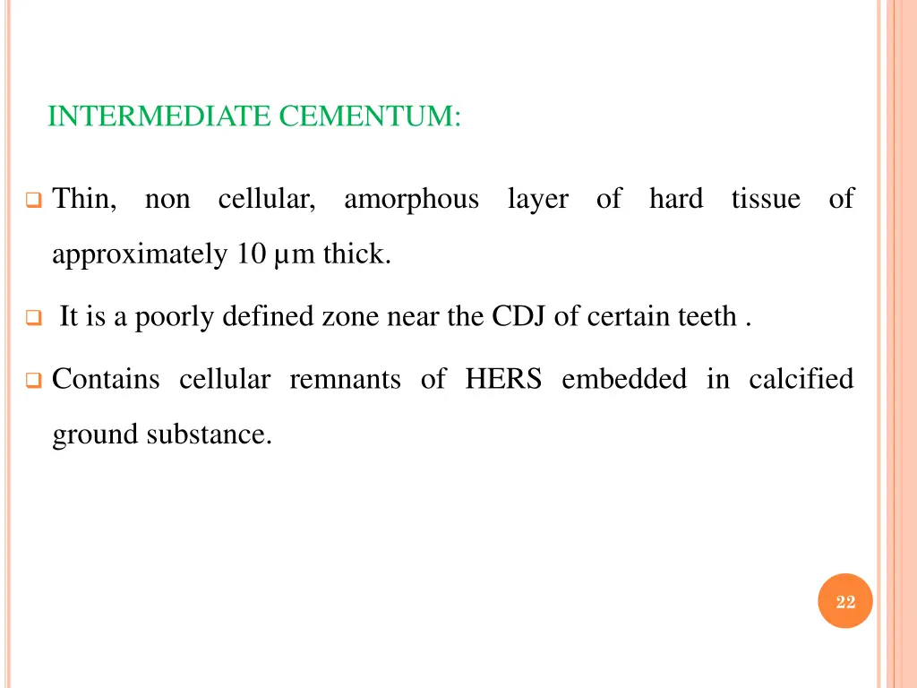 intermediate cementum