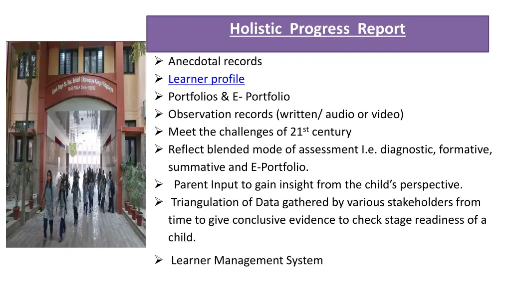 holistic progress report