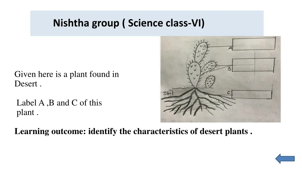 nishtha group science class vi