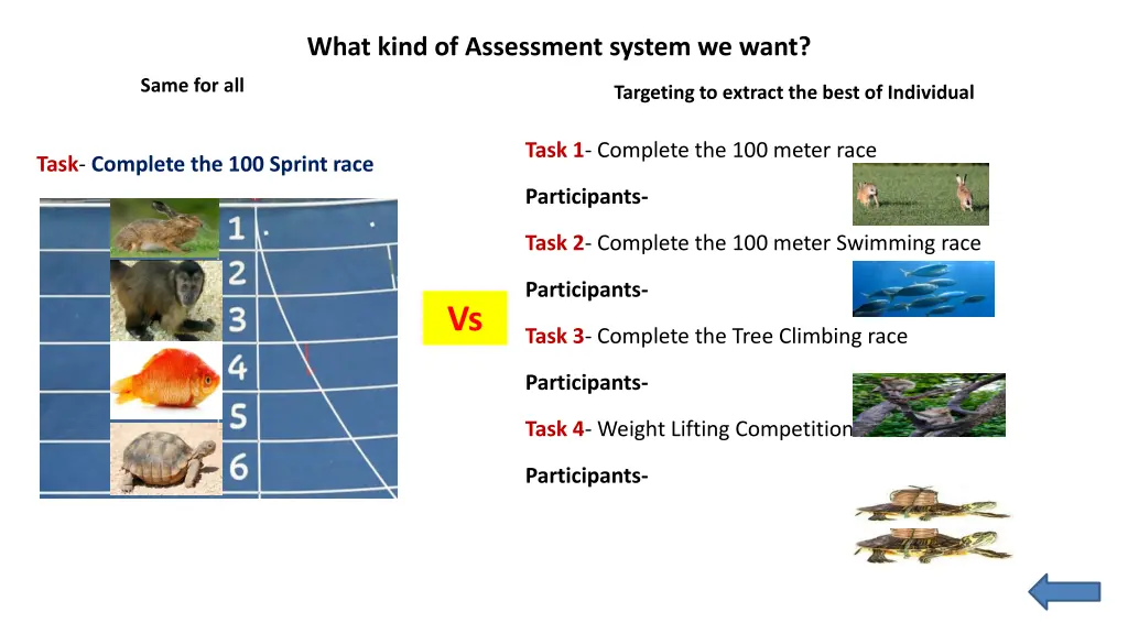 what kind of assessment system we want