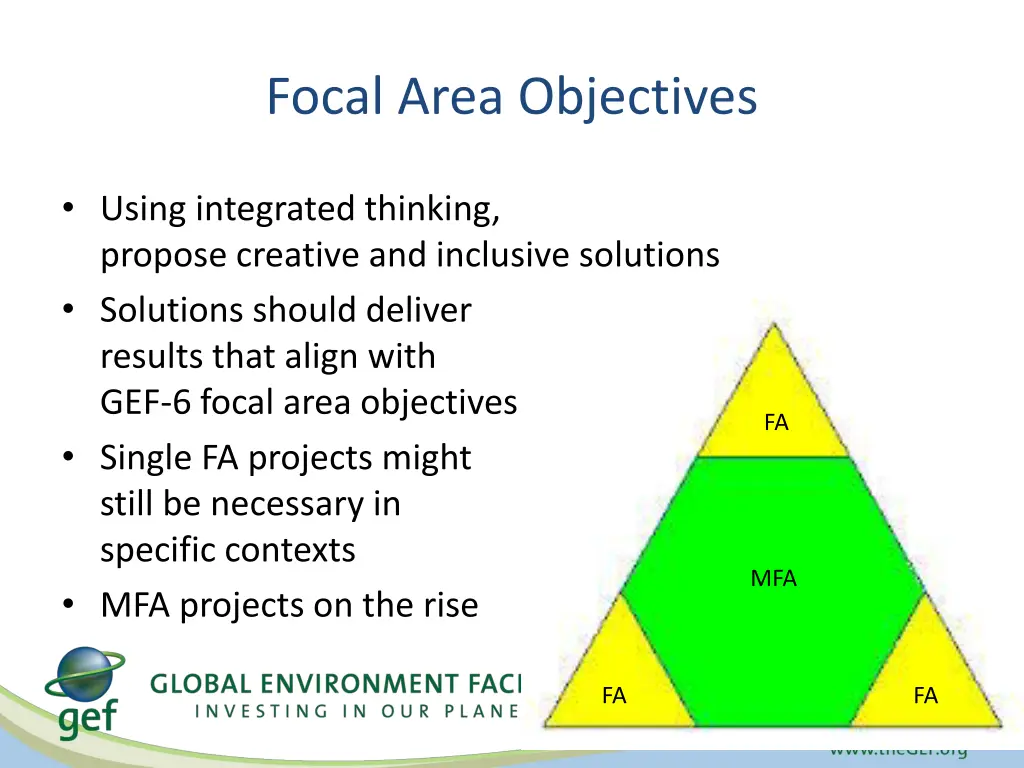 focal area objectives