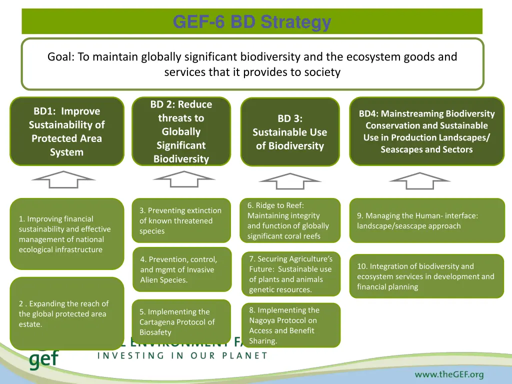 gef 6 bd strategy