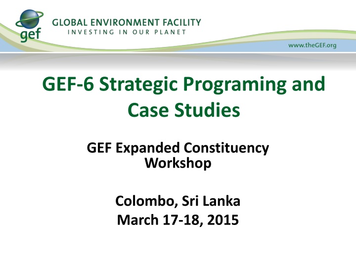 gef 6 strategic programing and case studies