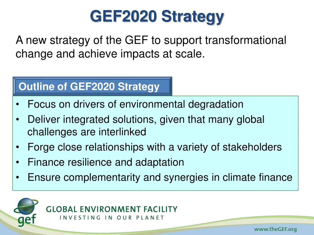 gef2020 strategy