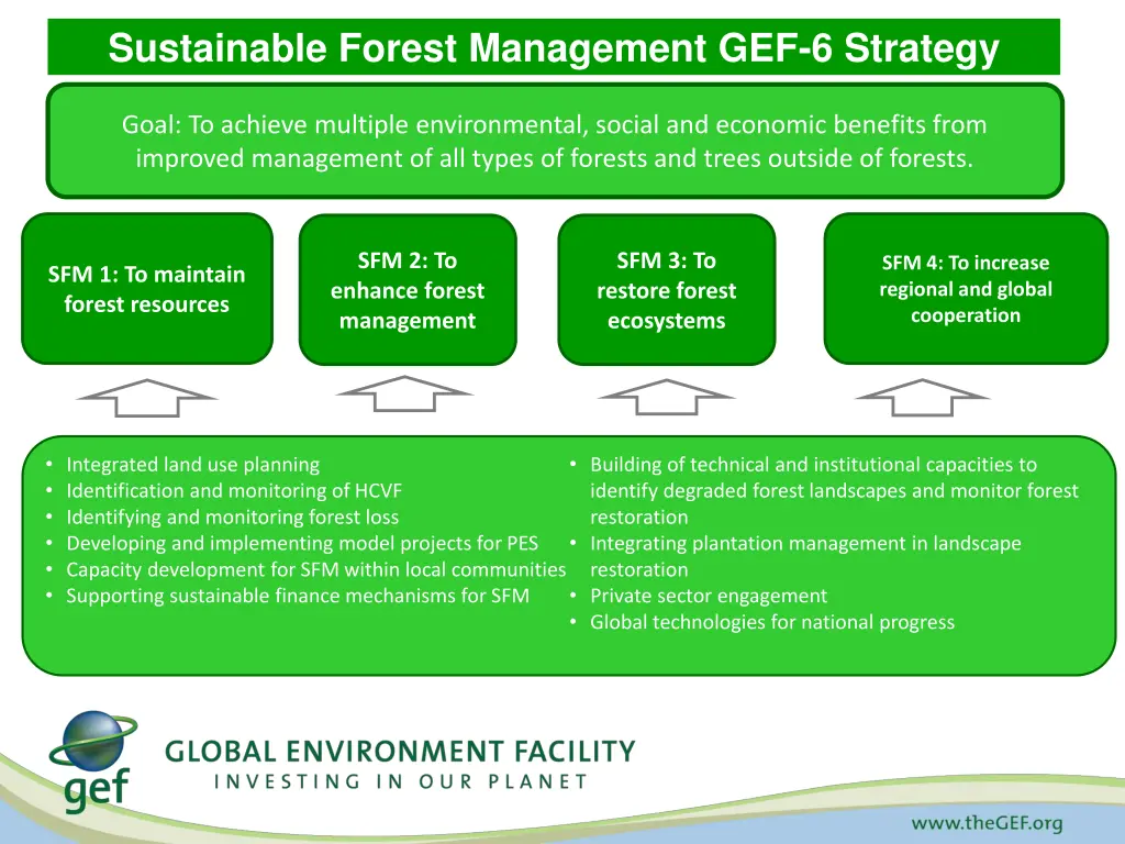 sustainable forest management gef 6 strategy