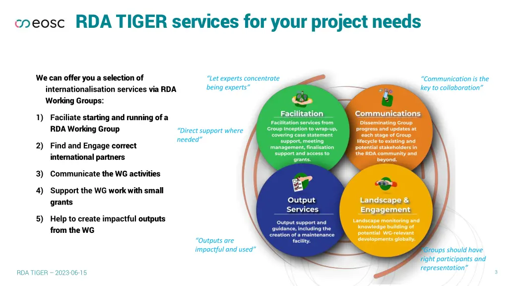 rda tiger services for your project needs