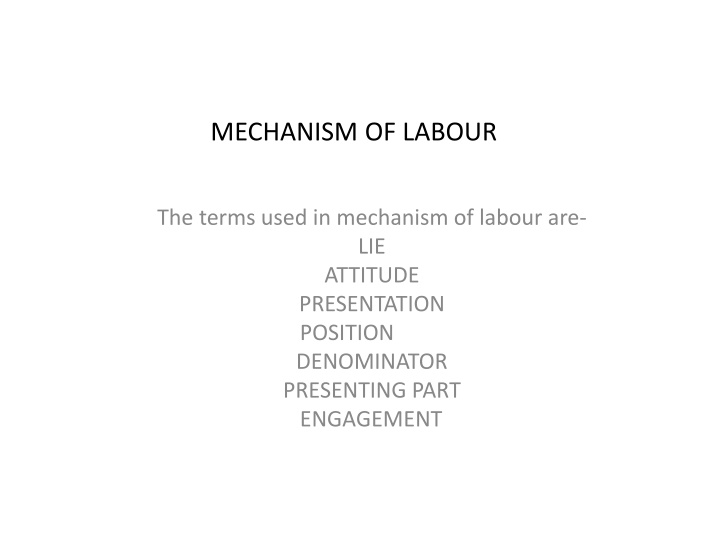 mechanism of labour