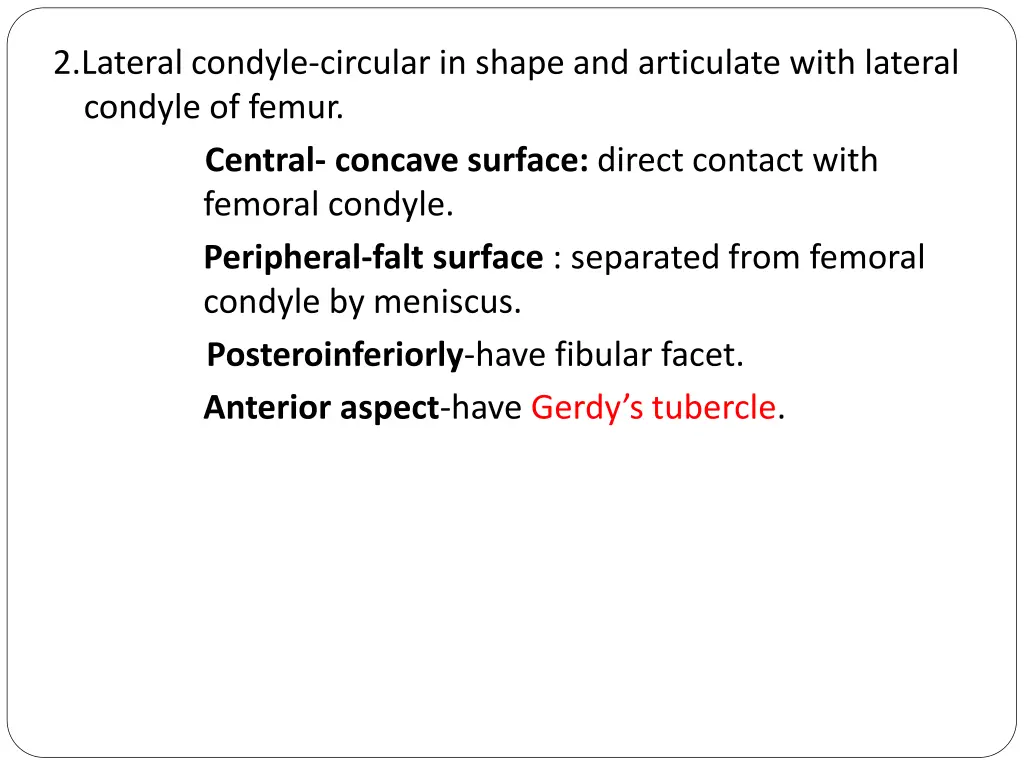 2 lateral condyle circular in shape