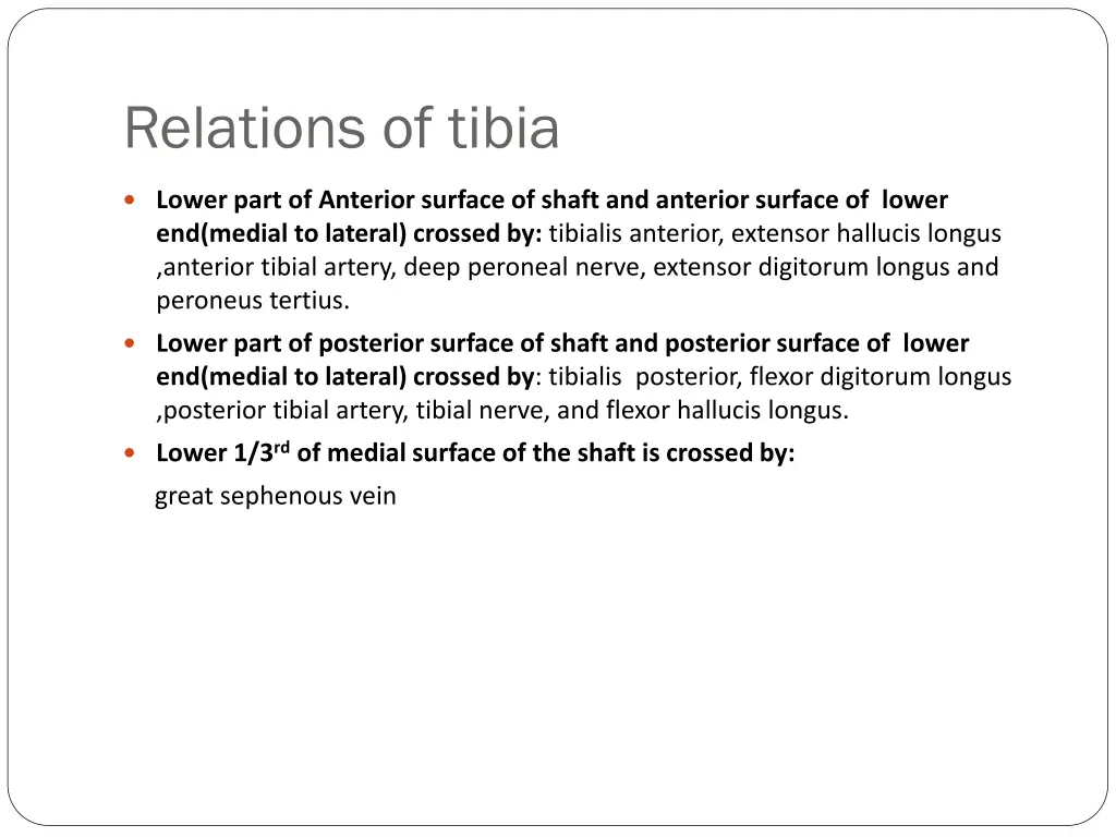 relations of tibia