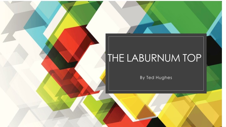 the laburnum top