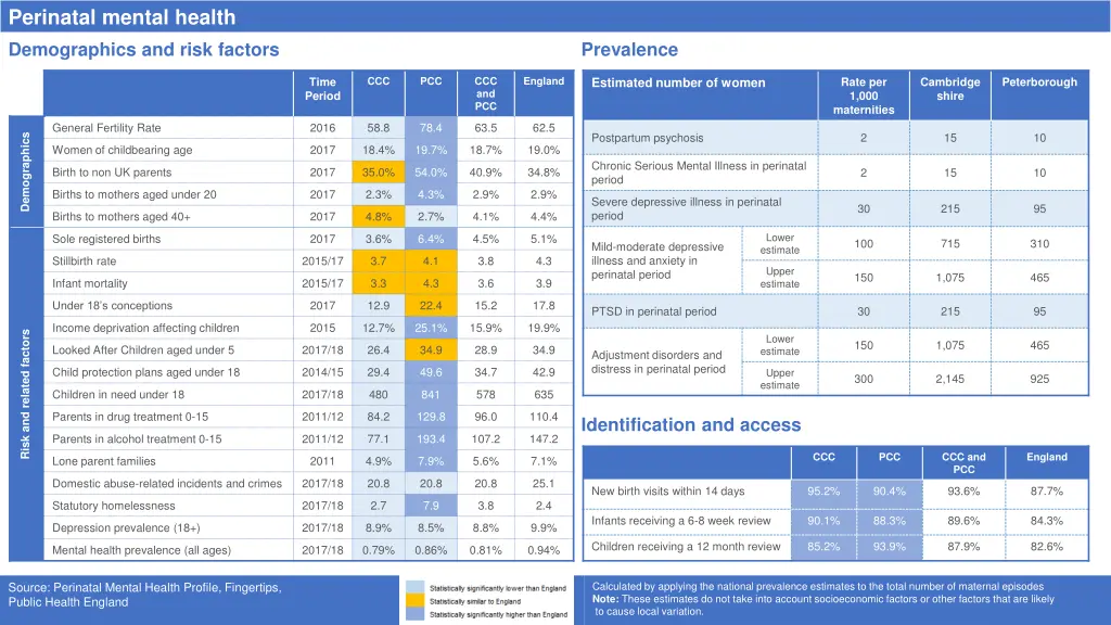 perinatal mental health demographics and risk