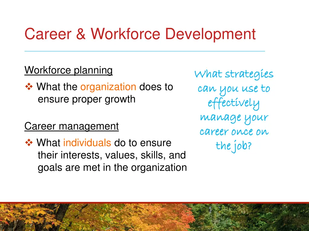 career workforce development