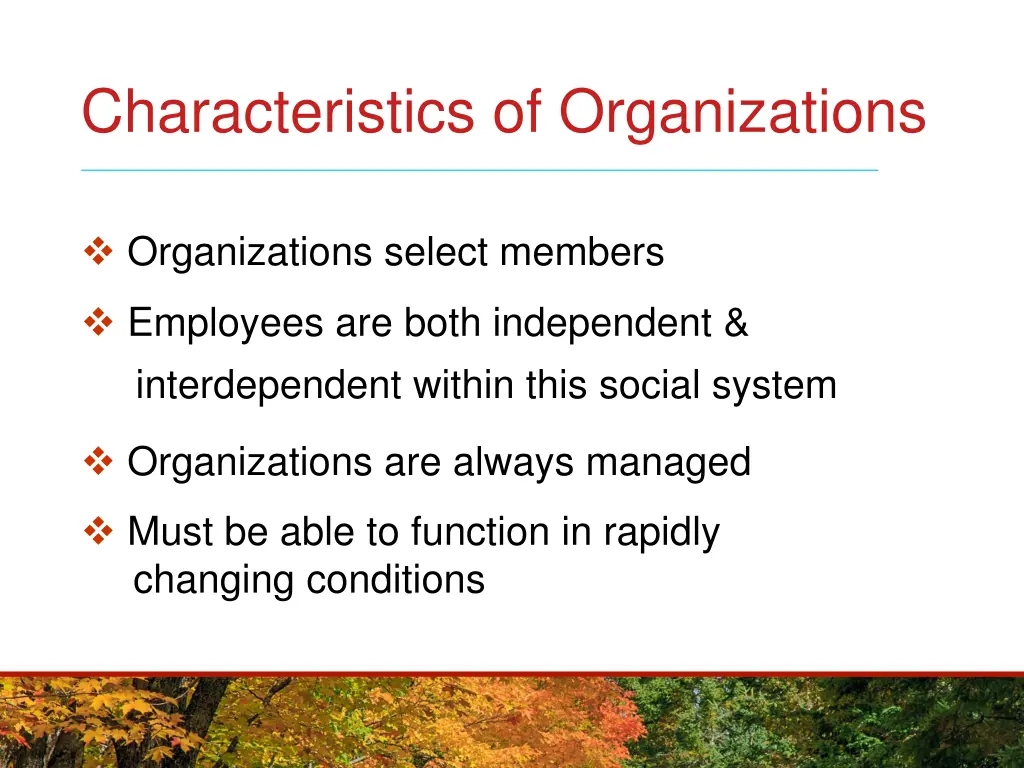 characteristics of organizations 1