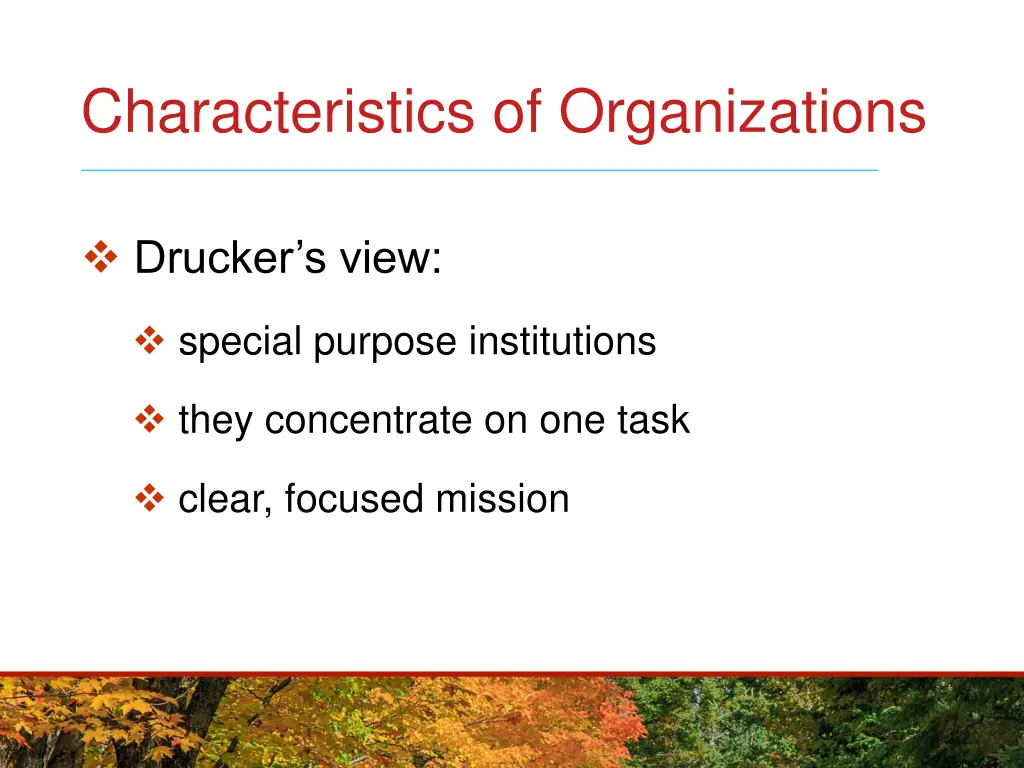 characteristics of organizations