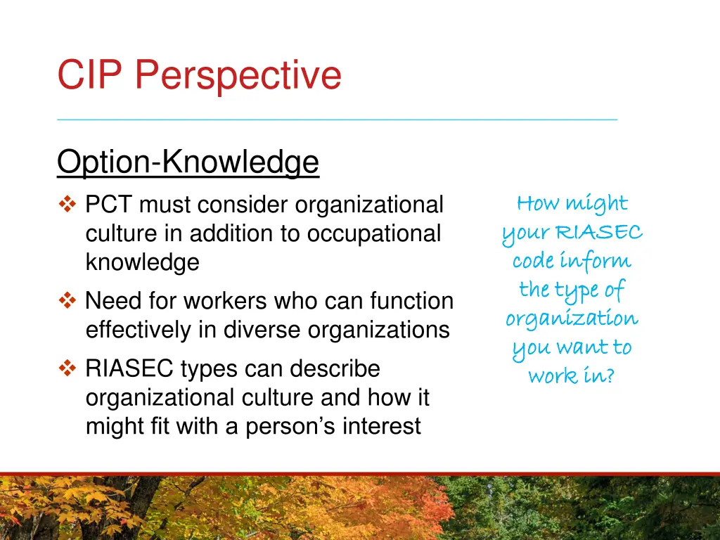 cip perspective 1