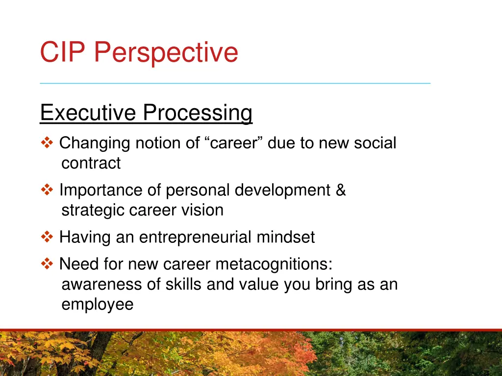 cip perspective 3