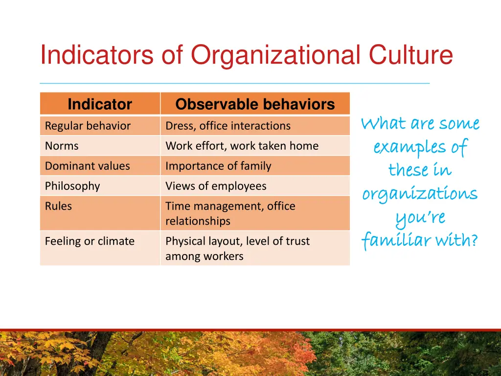 indicators of organizational culture