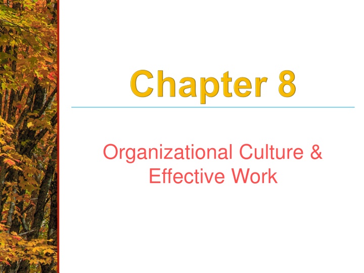 organizational culture effective work