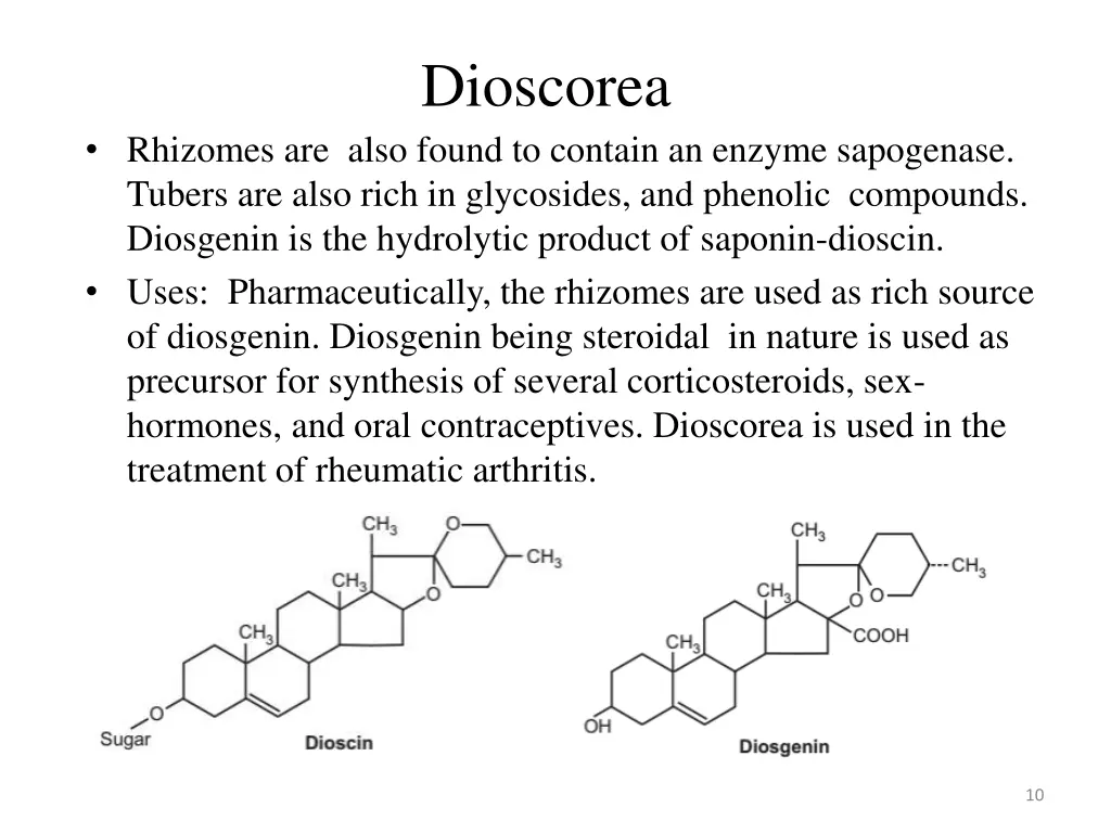 dioscorea 2