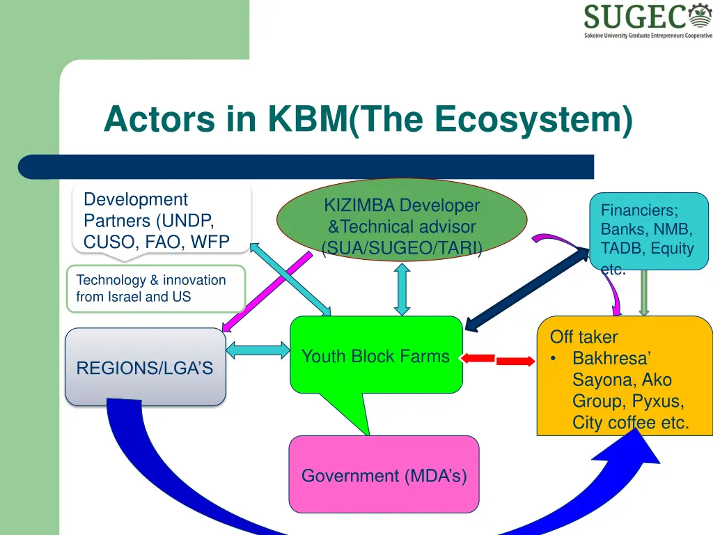 actors in kbm the ecosystem