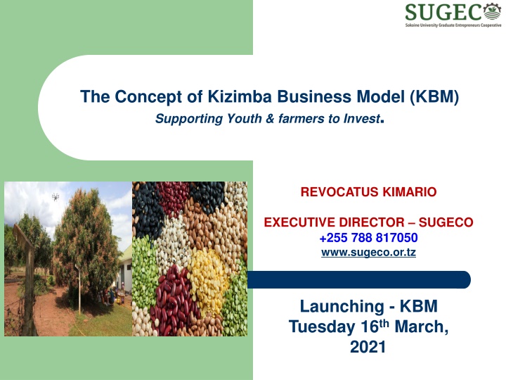 the concept of kizimba business model