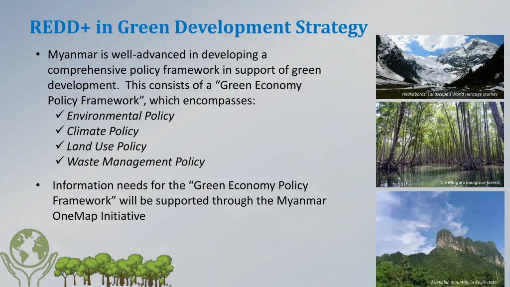 redd in green development strategy