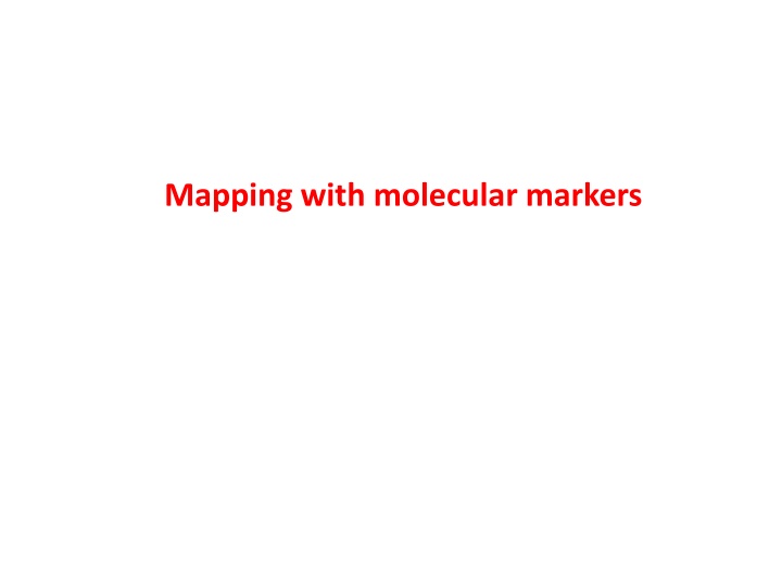 mapping with molecular markers