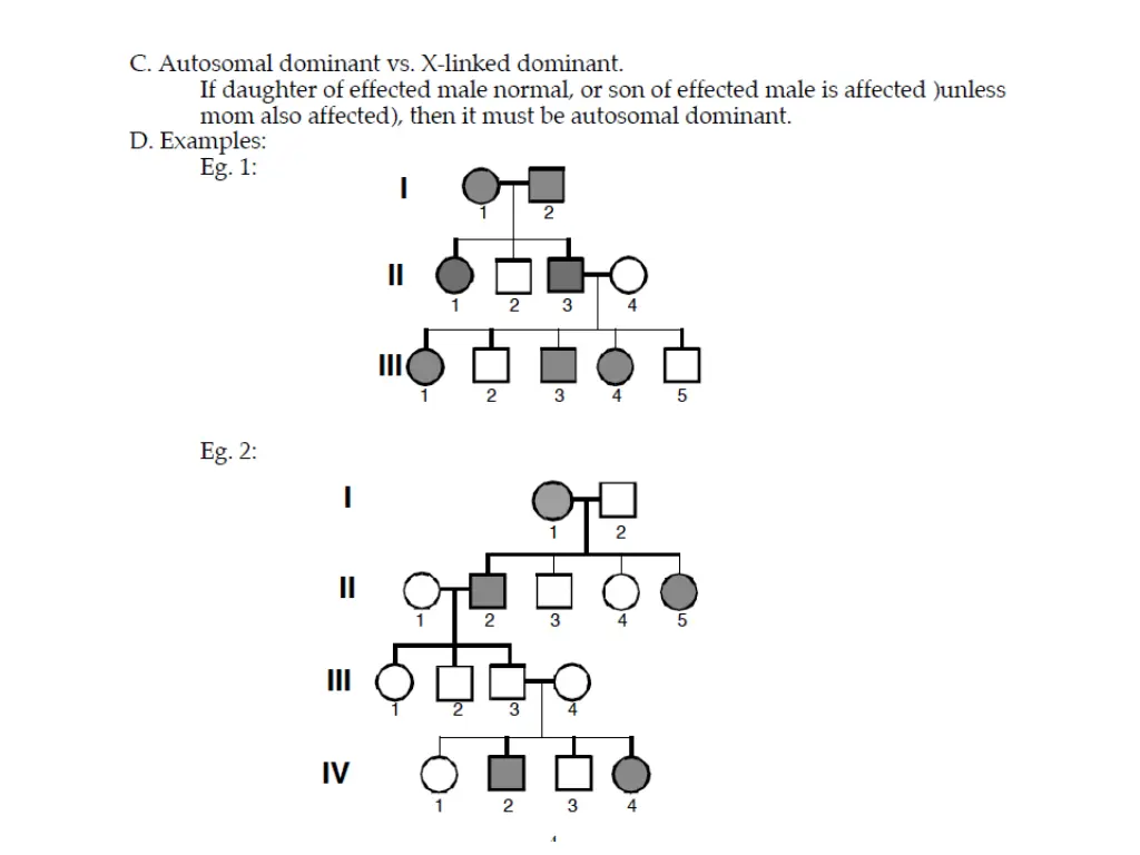 slide23