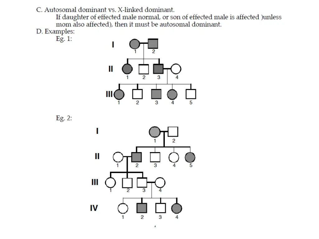 slide24