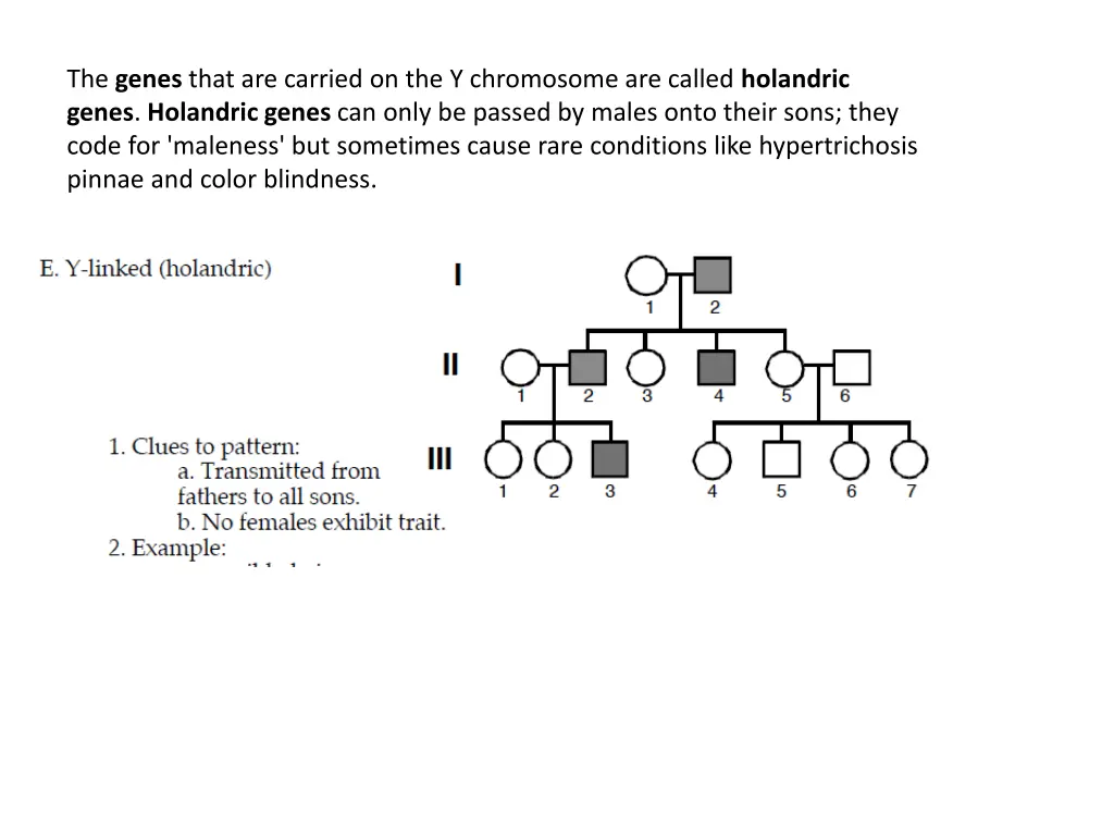 the genes that are carried on the y chromosome