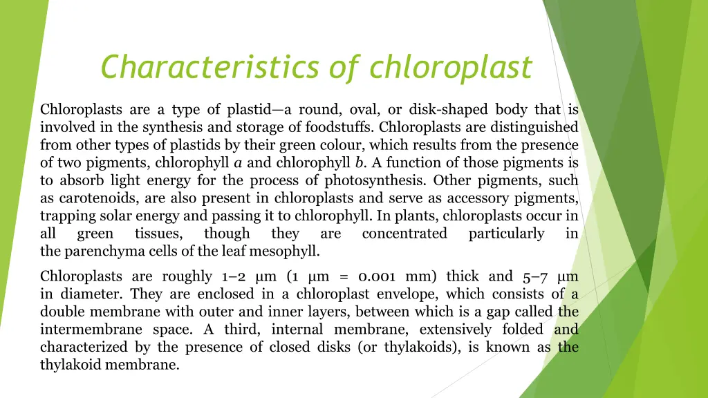 characteristics of chloroplast