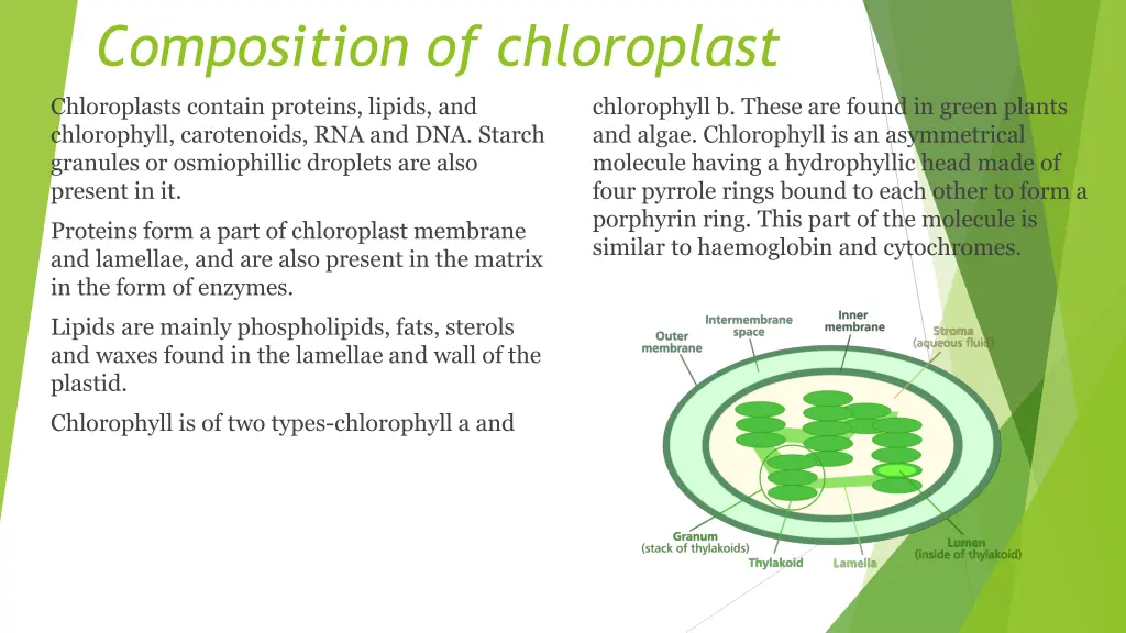 composition of chloroplast