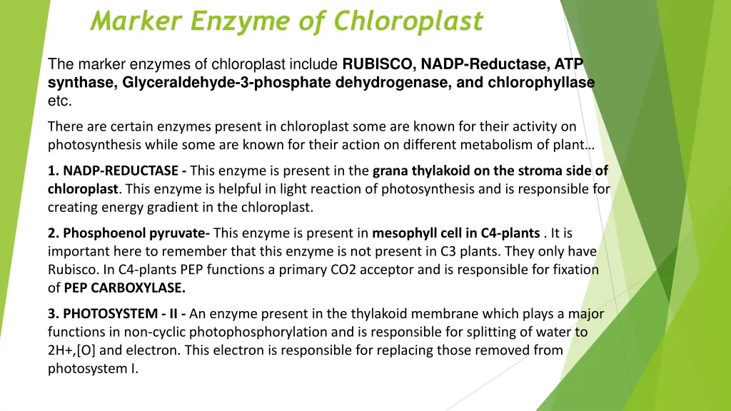 marker enzyme of chloroplast