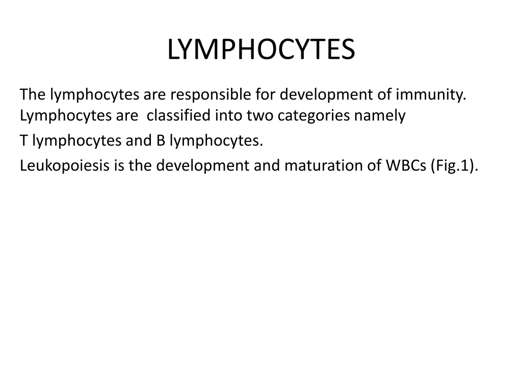 lymphocytes 1