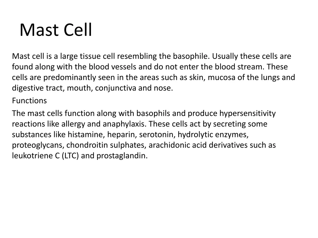 mast cell